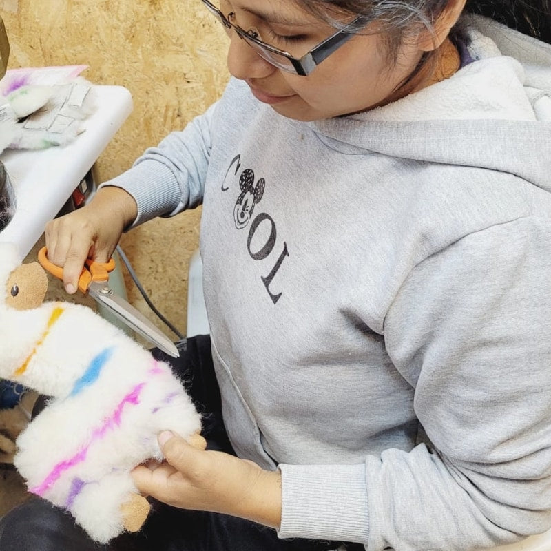 Alpaca Llamacorn Vibrant Flare