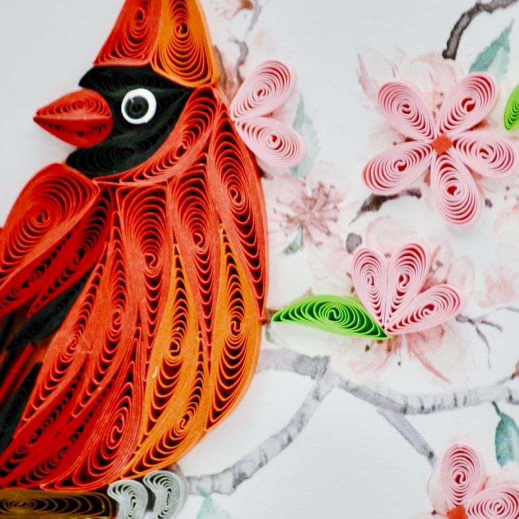 Cardinal & Cherry Blossom Close Up
