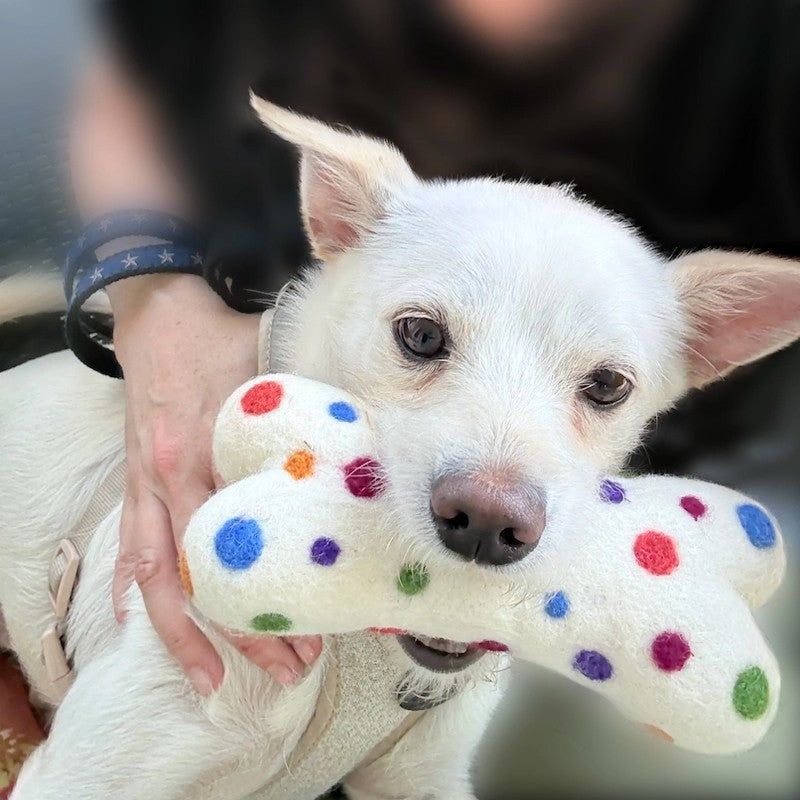 Eco Wool Dog Bone Polka Dot Small
