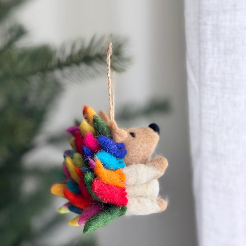 Rainbow Hedgehog ornament 1