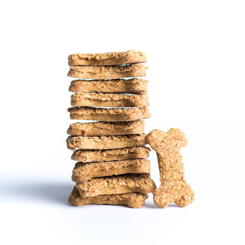 dog treats styled