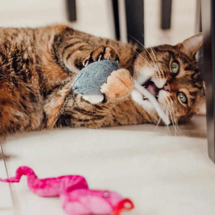 Snake & Mouse Cat Toy Pack of 2