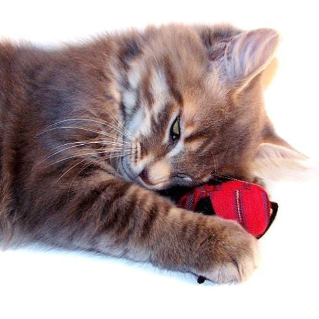 organic catnip mice 1