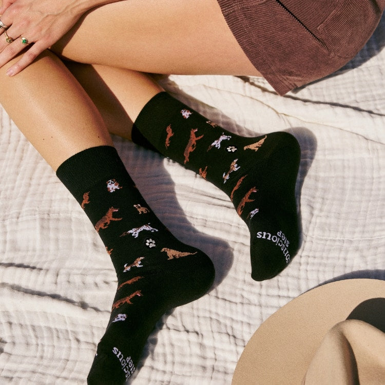 paw parade dog socks 1