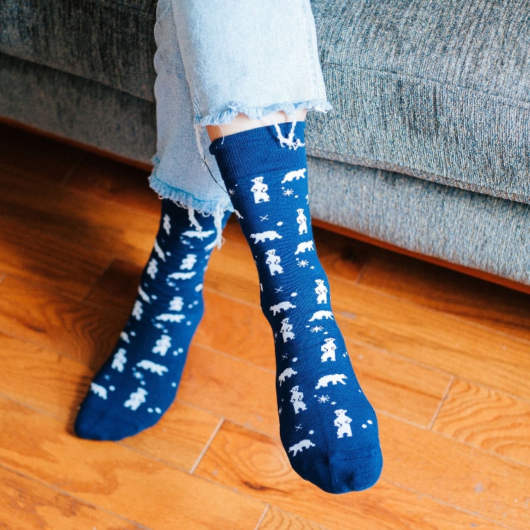 socks that protect the arctic model 2