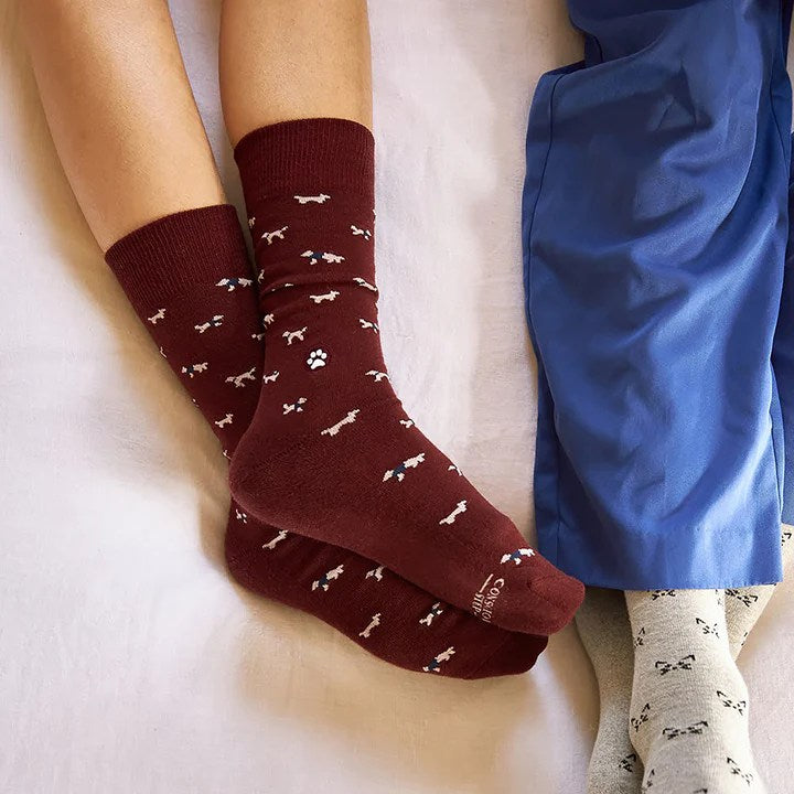 socks that save dogs burgundy model