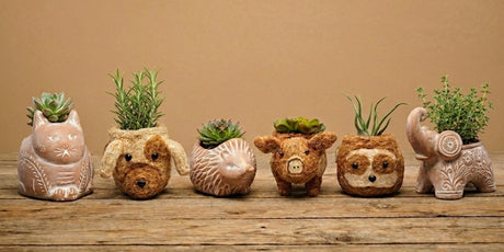 Collection of whimsical fair trade animal-shaped terracotta planters, including a cat, dog, hedgehog, pig, and elephant, showcasing sustainable home decor.