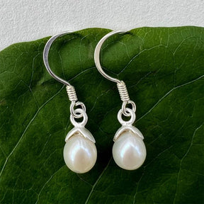 Women's Peace Collection acorn-shaped pearl earrings featuring elegant, smooth pearl drops.
