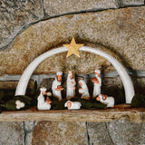 Albizia Nativity Styled