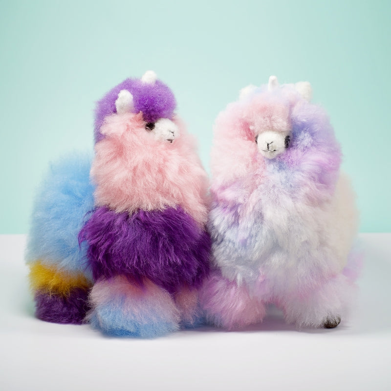 Soft alpaca fur Llamacorn Zesty Twist by Blossom Inspirations, featuring colorful, plush alpaca fiber with a whimsical llama unicorn design.