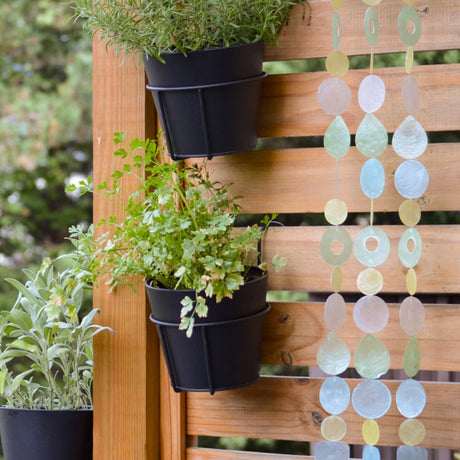 Aqua Yellow capiz strand styled