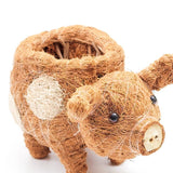 Coconut fiber pig-shaped planter on a white background