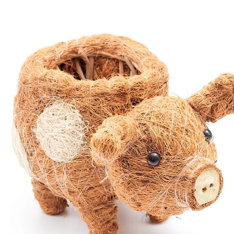 Baby Pig Planter