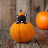 Felt Cat in Pumpkin Small