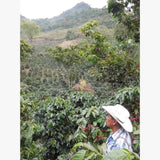 Birdwatcher’s Blend Coffee Ground