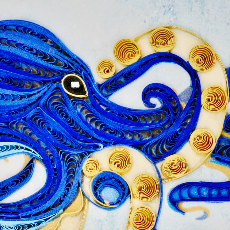 Deep Sea Octopus Close Up