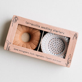 Terracotta seedling starters in a cardboard box on a light background