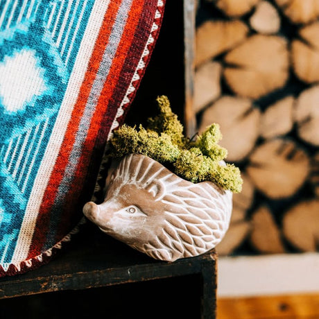 Ceramic hedgehog planter with greenery on a wooden shelf with a woven blanket and stacked logs in the background.