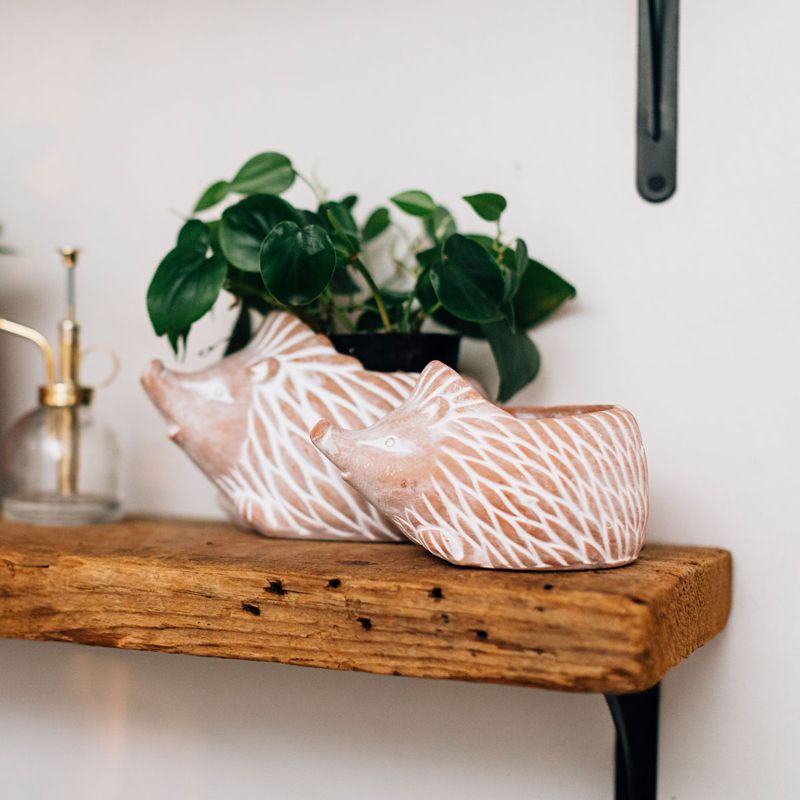 Ceramic hedgehog-shaped planters with plants on a wooden shelf against a white wall.