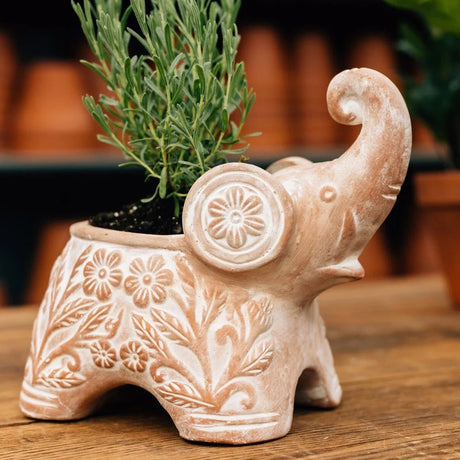 Ceramic elephant planter with a herbs on a wooden surface in a greenhouse