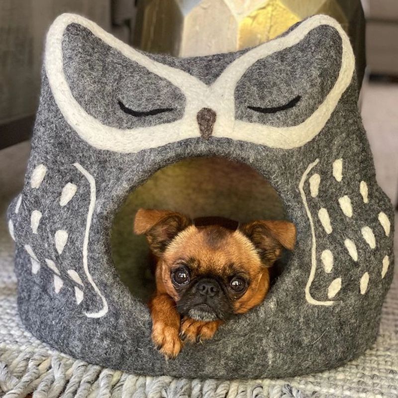 Grey Owl Wool Pet Cave 1