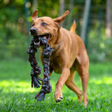 Knotted Rope Dog Toy Natural:Grey 26” 1