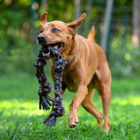 Knotted Rope Dog Toy Natural:Grey 26” 1