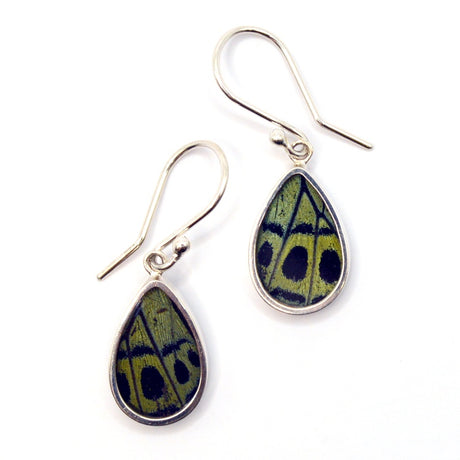 Leprieur's Glory butterfly wing earrings