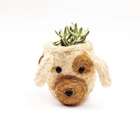 Dog-shaped planter with succulent on a white background