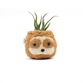 Sloth-shaped planter with a small plant on a white background
