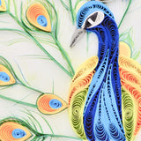 Peacock Feather Display Close Up 1