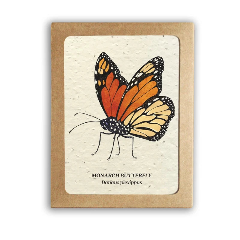 Plantable Wildflower Card Set - Insects