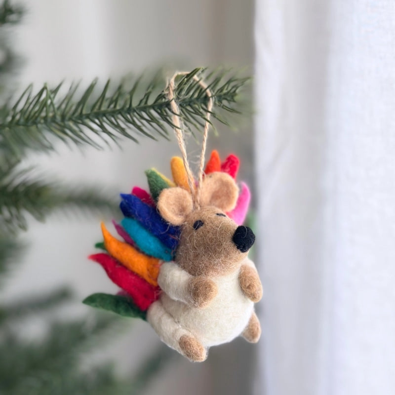 Rainbow Hedgehog ornament 2