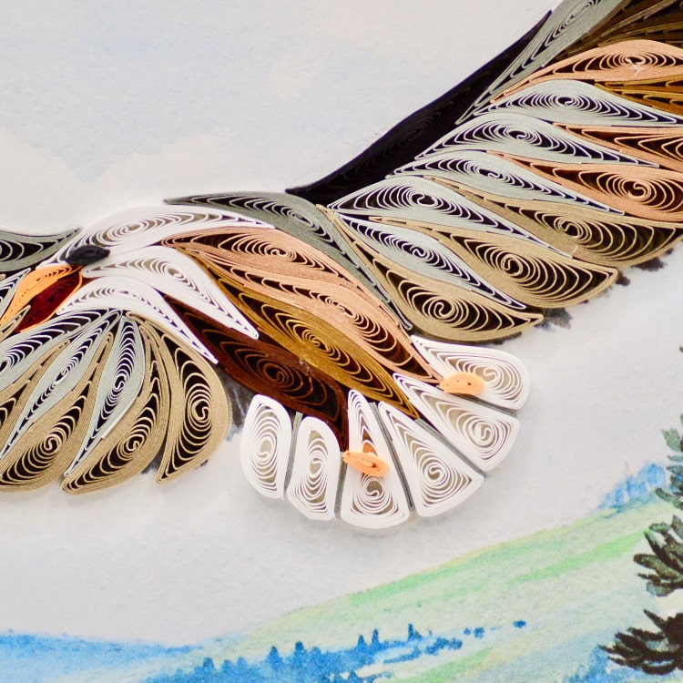 Soaring Eagle Close Up