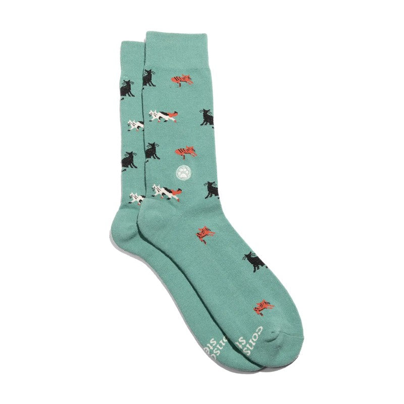 Socks That Save Cats Teal