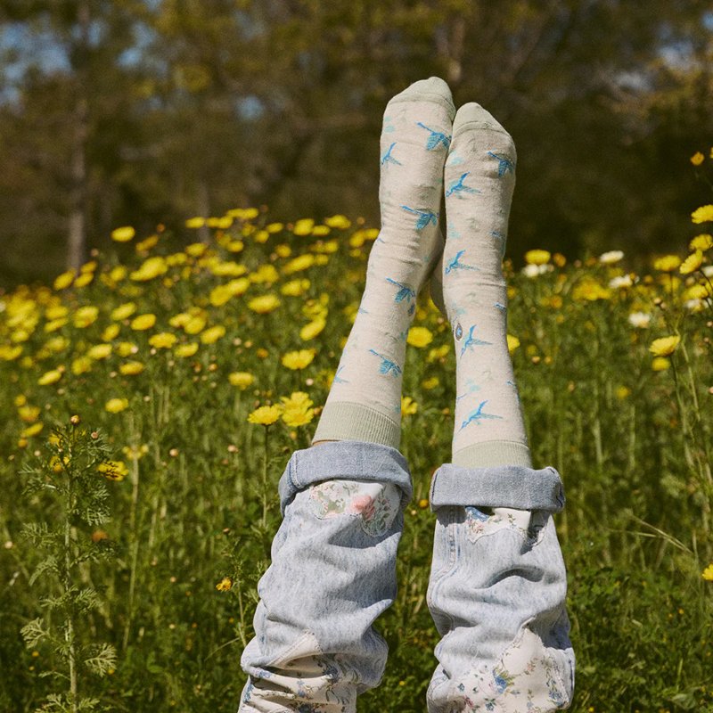 Socks that Protect Hummingbirds 1