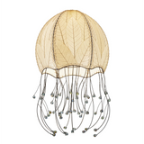 Jellyfish Pendant Leaf Lamp - Natural - est. ship 6/2026