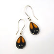 monarch butterfly wing earrings