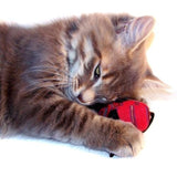 organic catnip mice 1