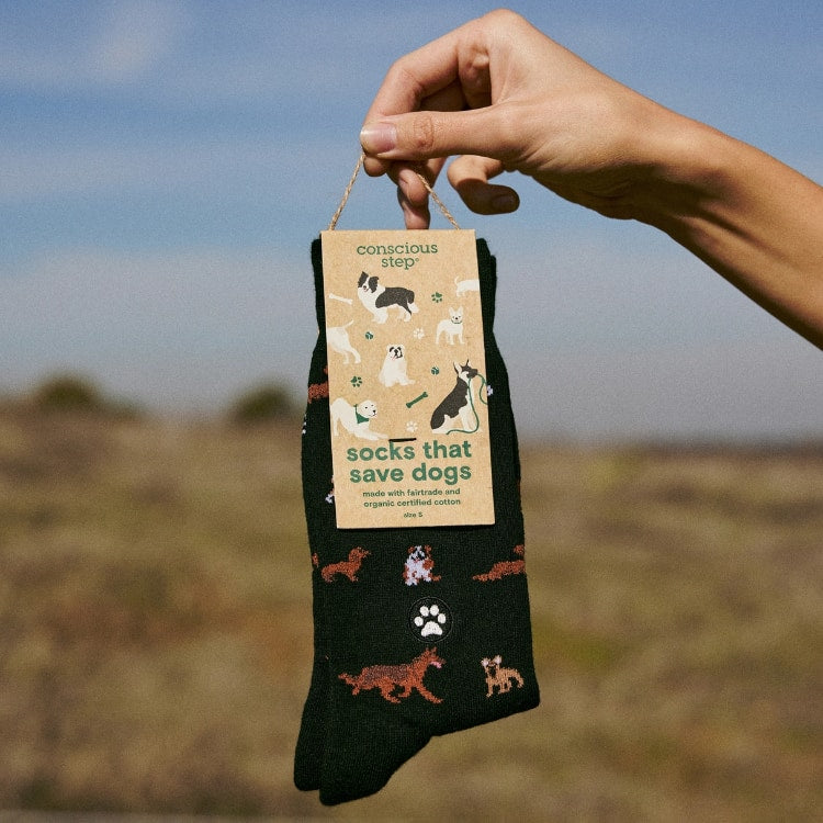 paw parade dog socks 2