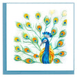 peacock feather display quilling card