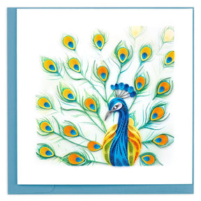 peacock feather display quilling card