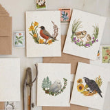 Plantable Herb Card Set - Birds