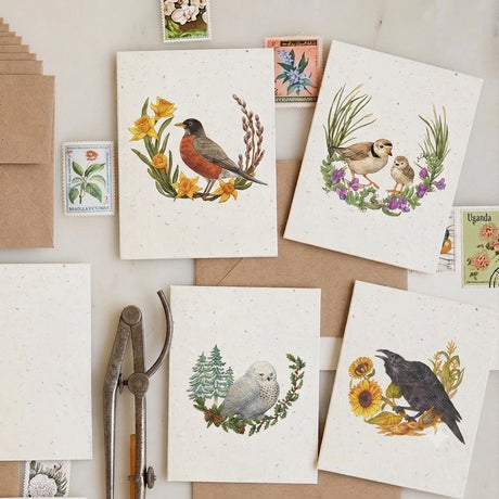 Plantable Herb Card Set - Birds