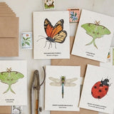 Plantable Wildflower Card Set - Insects