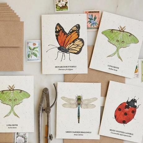 Plantable Wildflower Card Set - Insects