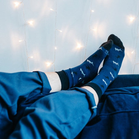 socks protect sharks
