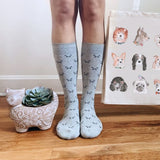 socks that save cats model
