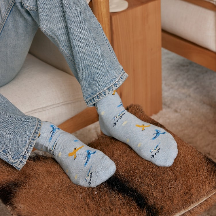 songbird socks 1
