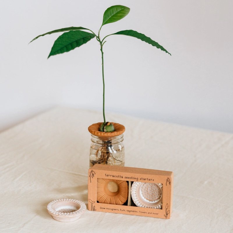 Terracotta seedling starter with a small potted plant on a white surface